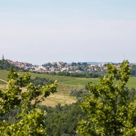 Villa Morgan For 8 People In Istria With 45 M2 Private Pool & Pet Friendly *
